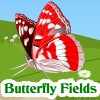 Butterfly Fields