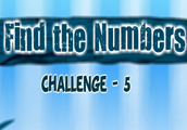 Find the Numbers Challenge -5