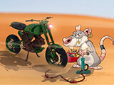 Rat On A Dirt Bike