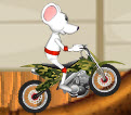 Stunt Rat Underground