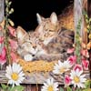 Art Kittens Jigsaw 2