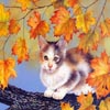 Art Kittens Puzzles 2