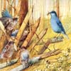 Art Painting Bird Sliding Puzzle