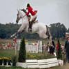 Horse Jumping Jigsaw