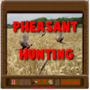 Pheasant Hunting