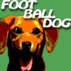 FootballDog