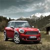 Puzzles Mini Countryman 2011