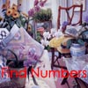 Find Numbers - Coming Home 2