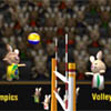 BunnyLimpics Volleyball